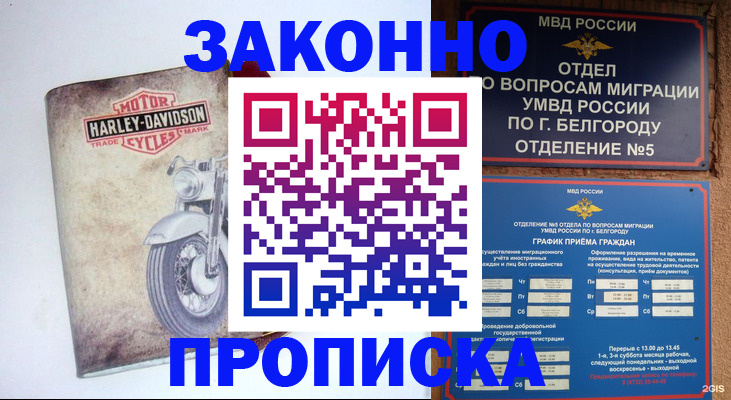 прописка для школы в Алейске